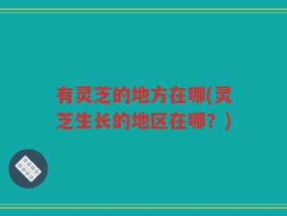 有灵芝的地方在哪(灵芝生长的地区在哪？)