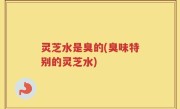 灵芝水是臭的(臭味特别的灵芝水)