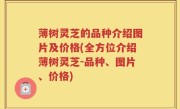 薄树灵芝的品种介绍图片及价格(全方位介绍薄树灵芝-品种、图片、价格)