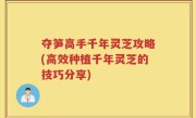 夺笋高手千年灵芝攻略(高效种植千年灵芝的技巧分享)