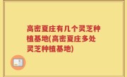 高密夏庄有几个灵芝种植基地(高密夏庄多处灵芝种植基地)
