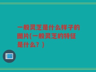 一般灵芝是什么样子的图片(一般灵芝的特征是什么？)