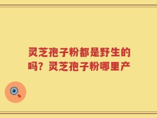 灵芝孢子粉都是野生的吗？灵芝孢子粉哪里产