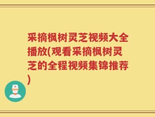采摘枫树灵芝视频大全播放(观看采摘枫树灵芝的全程视频集锦推荐)