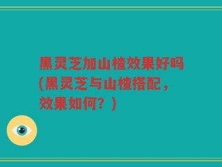 黑灵芝加山楂效果好吗(黑灵芝与山楂搭配，效果如何？)