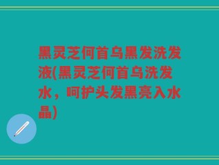 黑灵芝何首乌黑发洗发液(黑灵芝何首乌洗发水，呵护头发黑亮入水晶)