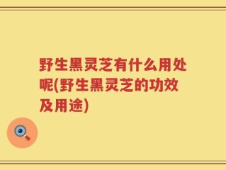 野生黑灵芝有什么用处呢(野生黑灵芝的功效及用途)