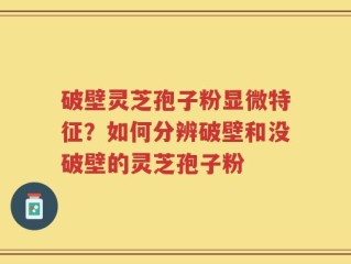 破壁灵芝孢子粉显微特征？如何分辨破壁和没破壁的灵芝孢子粉