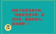 树根下的灵芝孢子粉_“树根灵芝孢子粉：天然珍贵，增强免疫力，促进健康”)