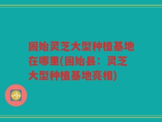 固始灵芝大型种植基地在哪里(固始县：灵芝大型种植基地亮相)
