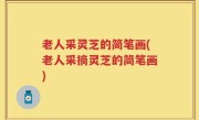 老人采灵芝的简笔画(老人采摘灵芝的简笔画)