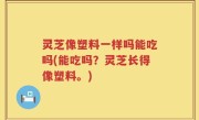 灵芝像塑料一样吗能吃吗(能吃吗？灵芝长得像塑料。)