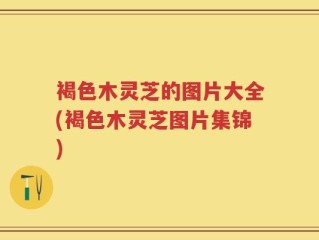 褐色木灵芝的图片大全(褐色木灵芝图片集锦)