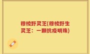 穆棱野灵芝(穆棱野生灵芝：一颗抗疫明珠)