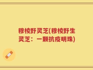 穆棱野灵芝(穆棱野生灵芝：一颗抗疫明珠)