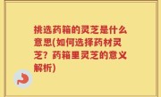 挑选药箱的灵芝是什么意思(如何选择药材灵芝？药箱里灵芝的意义解析)