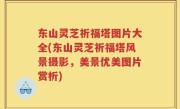 东山灵芝祈福塔图片大全(东山灵芝祈福塔风景摄影，美景优美图片赏析)