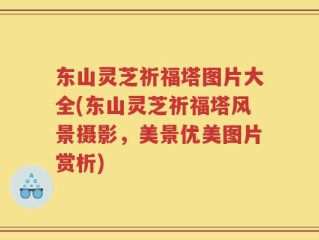 东山灵芝祈福塔图片大全(东山灵芝祈福塔风景摄影，美景优美图片赏析)