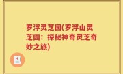 罗浮灵芝园(罗浮山灵芝园：探秘神奇灵芝奇妙之旅)