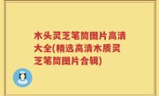 木头灵芝笔筒图片高清大全(精选高清木质灵芝笔筒图片合辑)