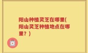 阳山种植灵芝在哪里(阳山灵芝种植地点在哪里？)