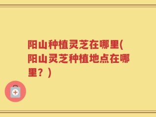 阳山种植灵芝在哪里(阳山灵芝种植地点在哪里？)