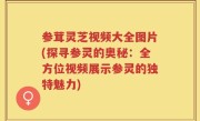 参茸灵芝视频大全图片(探寻参灵的奥秘：全方位视频展示参灵的独特魅力)