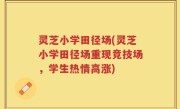 灵芝小学田径场(灵芝小学田径场重现竞技场，学生热情高涨)