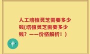 人工培植灵芝需要多少钱(培植灵芝需要多少钱？——价格解析！)