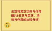 云芝和灵芝功效与作用图片(云芝与灵芝：功效与作用的比较分析)