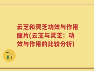云芝和灵芝功效与作用图片(云芝与灵芝：功效与作用的比较分析)