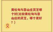 黄松甸与靠山庄灵芝哪个好(比较黄松甸与靠山庄的灵芝，哪个更好？)