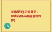 花楹灵芝(花楹灵芝：珍贵药材与美丽景观相伴)