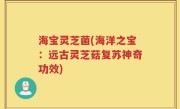 海宝灵芝菌(海洋之宝：远古灵芝菇复苏神奇功效)