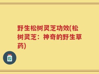 野生松树灵芝功效(松树灵芝：神奇的野生草药)