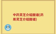 中药灵芝介绍图谱(药用灵芝介绍图谱)