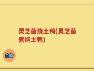 灵芝菌烧土鸭(灵芝菌煮焖土鸭)