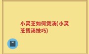 小灵芝如何煲汤(小灵芝煲汤技巧)