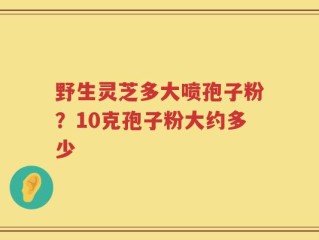 野生灵芝多大喷孢子粉？10克孢子粉大约多少