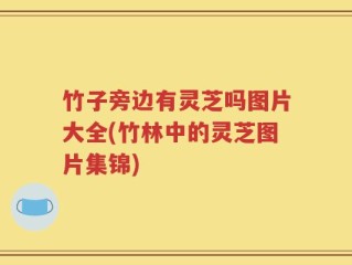 竹子旁边有灵芝吗图片大全(竹林中的灵芝图片集锦)