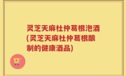 灵芝天麻杜仲葛根泡酒(灵芝天麻杜仲葛根酿制的健康酒品)