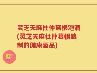 灵芝天麻杜仲葛根泡酒(灵芝天麻杜仲葛根酿制的健康酒品)
