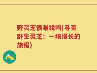 野灵芝很难找吗(寻觅野生灵芝：一场漫长的旅程)