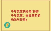 千年灵芝的妙用(神奇千年灵芝：全能草药的功效与作用)