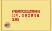 郭经理灵芝(经理耕耘20年，引领灵芝行业发展)