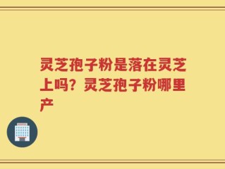 灵芝孢子粉是落在灵芝上吗？灵芝孢子粉哪里产