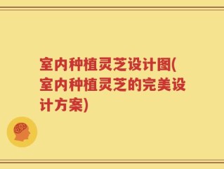 室内种植灵芝设计图(室内种植灵芝的完美设计方案)