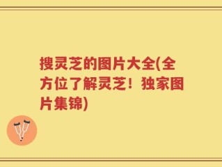 搜灵芝的图片大全(全方位了解灵芝！独家图片集锦)