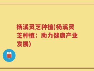 杨溪灵芝种植(杨溪灵芝种植：助力健康产业发展)