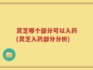 灵芝哪个部分可以入药(灵芝入药部分分析)